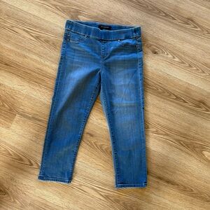 Liverpool Classic Blue Ankle Jeans
